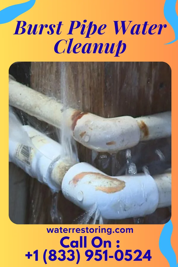Burst Pipe Water Cleanup in East Liverpool, OH
